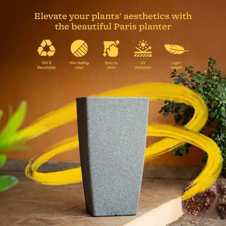 Paris Planter