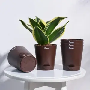 Krish Self Watering Planter - Set of 5
