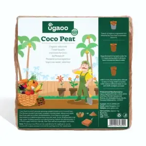 Cocopeat Block