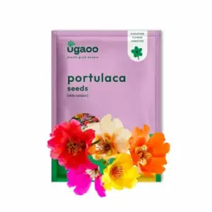 Portulaca Mix Seeds
