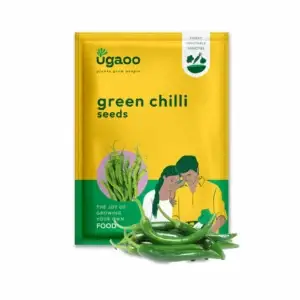Green Chilli Seeds